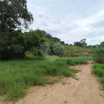 Terreno à venda em Residencial Reserva da Mata, Itapetininga, SP
