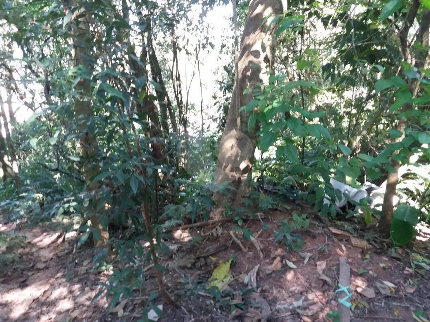 Terreno à venda em Tucuruvi, São Paulo, SP