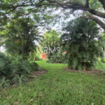 SÍTIO À VENDA EM ELIAS FAUSTO 21.900 m² - ÓTIMA TOPOGRAFIA E EXCELENTE LOCALIZAÇÃO