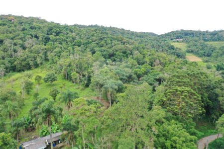 Tapiraí Sp - Sítio Santa Clara - Area de 12,1 ha - composto por casa principal, galpões poço artesiano, ótima área para plantios. Fica localizado a aproximadam. 1 quilômetro da prefeitura. Area preservação permanente- 4,6 ha - Area aproveitável - 4,6 ha - area utilizada rural - 2,5 ha -R$ 750.000,00
