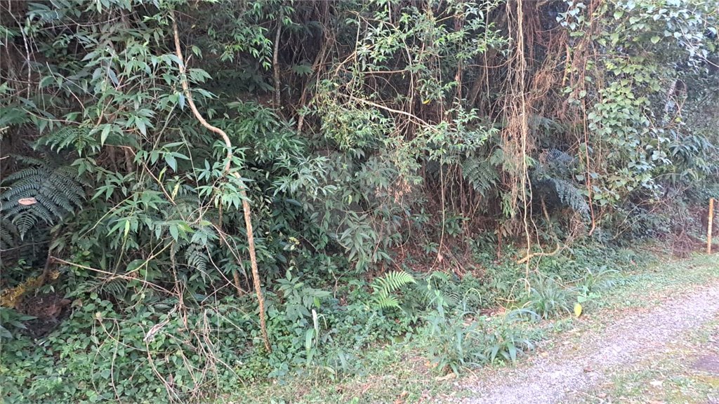 Terreno à venda no condomínio Associação Reserva das Hortênsias, Mairiporã - SP