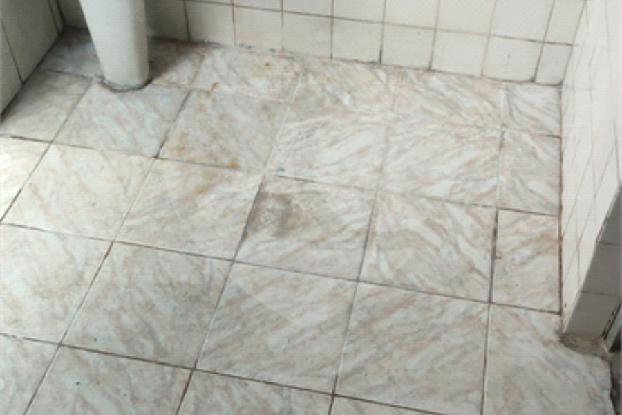 Sobrado para alugar com 2 quartos em Vila Sônia, São Paulo, SP
