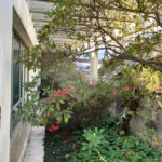 Casa à venda com 5 quartos, sendo 2 suítes,  em Vila Maria Alta, São Paulo, SP