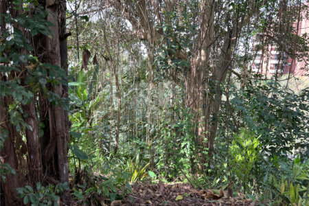Terreno à venda em Paraisópolis, São Paulo, SP