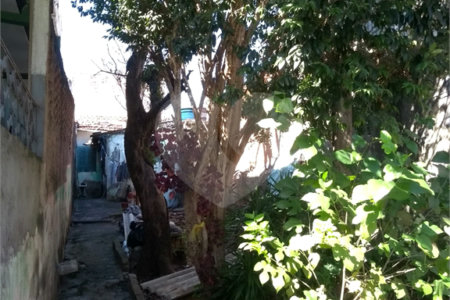 Área de Terra à venda com 1 quarto em Ferreira, São Paulo, SP