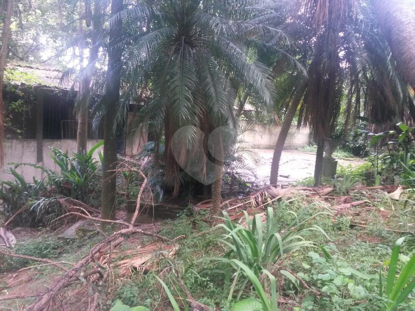 Casa Térrea à venda com 4 quartos, sendo 2 suítes,  em Tucuruvi, São Paulo, SP