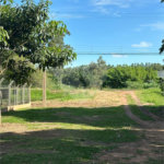 Chácara à venda em Jardim Universitário, Ponta Porã, MS