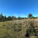 Terreno à venda em Sanga Puita, Ponta Porã, MS