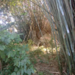 Terreno à venda em Vila Júlia, Poá, SP