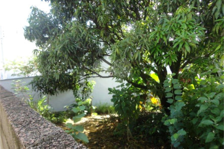 Terreno à venda em Vila São José, Valinhos, SP