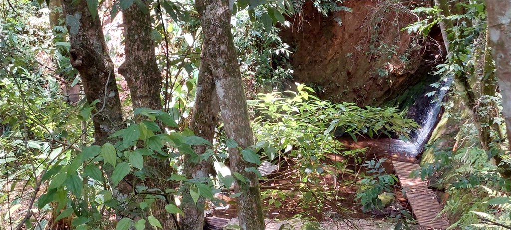 Terreno à venda em Vila Santo Antônio, São Roque, SP
