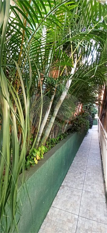 Casa Térrea à venda com 3 quartos, sendo 2 suítes, em Vila Irmãos Arnoni, São Paulo, SP