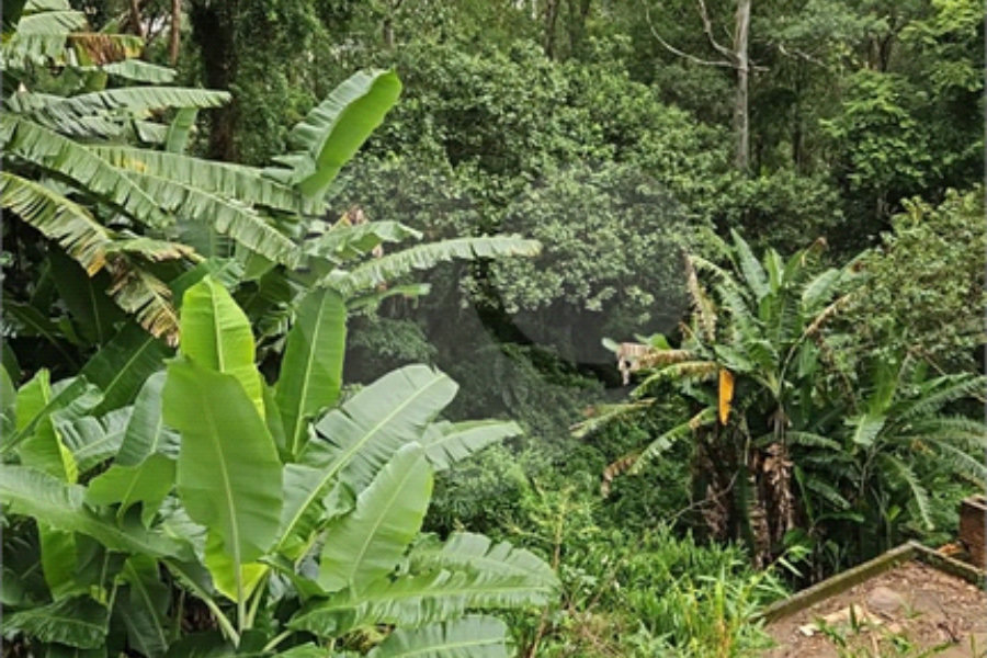 Terreno à venda em Vila Albertina, São Paulo, SP