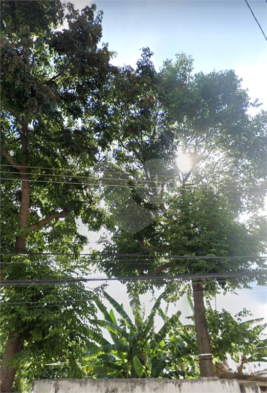 Terreno à venda em Vila Nova Cachoeirinha, São Paulo, SP