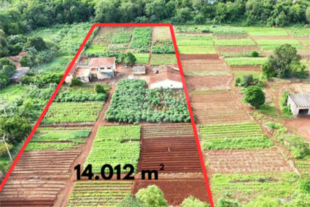 Terreno à venda em Jardim Itaú, Ribeirão Preto, SP