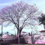 Casa à venda com 4 quartos, sendo 2 suítes,  em Vila Oliveira, Mogi das Cruzes, SP