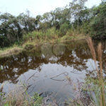 Terreno à venda em Vila Junqueira, São Roque, SP