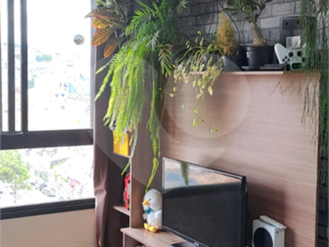 Apartamento à venda com 2 quartos em Vila Guilherme, São Paulo, SP
