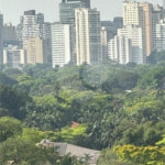Apartamento à venda com 2 suítes em Jardim Europa, São Paulo, SP