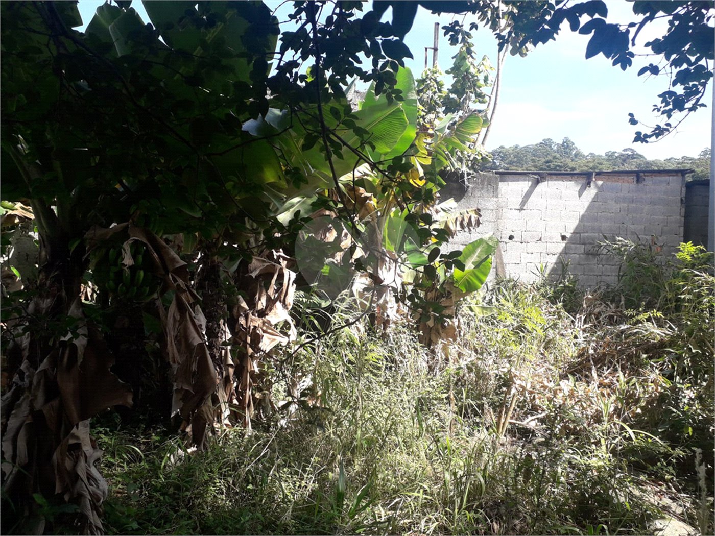 Casa à venda com 3 quartos, sendo 1 suíte, em Tremembé, São Paulo, SP