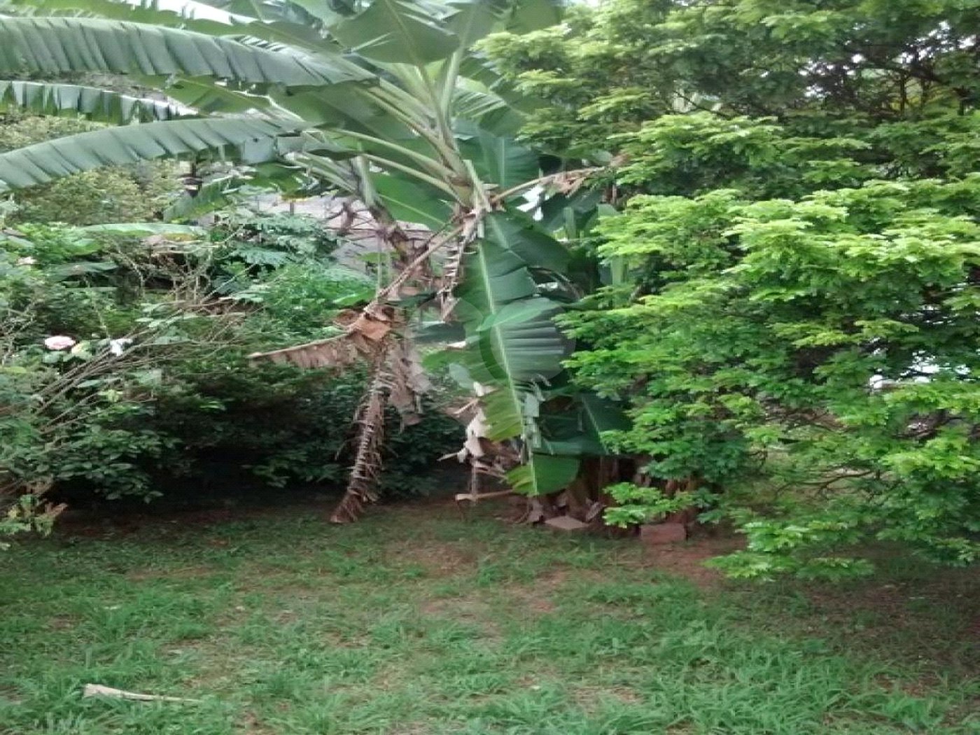 Casa à venda com 2 quartos em Jardim Peri Peri, São Paulo, SP