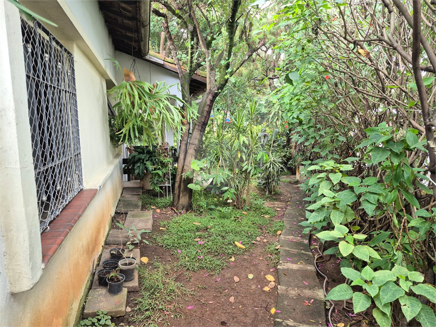 Casa à venda com 3 quartos em Jardim Franca, São Paulo, SP