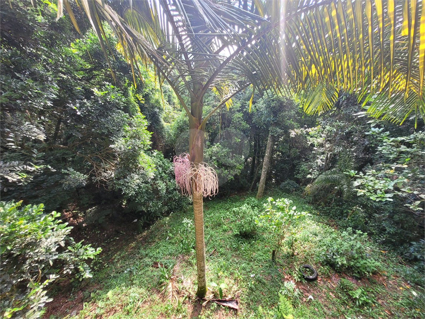 Casa Térrea à venda com 2 quartos, sendo 1 suíte, em Serra da Cantareira, Mairiporã, SP
