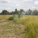 Chácara à venda com 4 quartos, sendo 1 suíte, em Vista Alegre, Vinhedo, SP