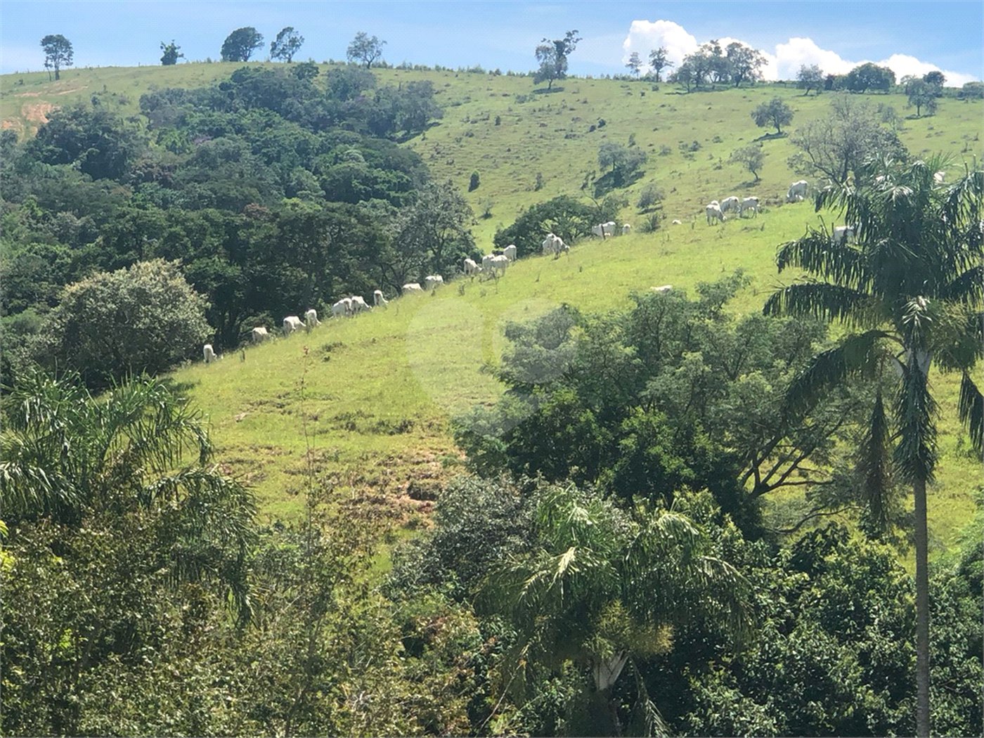 Chácara à venda com 4 quartos, sendo 2 suítes, em Vivenda, Jundiaí, SP