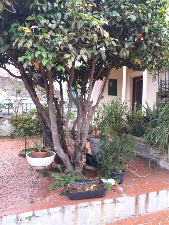 Terreno à venda com 1 quarto em Chora Menino, São Paulo, SP