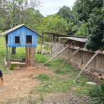 Sítio à venda com 6 quartos, sendo 5 suítes, em Área Rural de Itapetininga, Itapetininga, SP