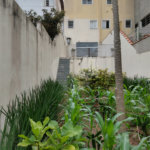 Sobrado à venda com 3 quartos, sendo 1 suíte, em Vila Mazzei, São Paulo, SP