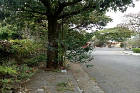 Casa à venda com 3 quartos em Instituto de Previdência, São Paulo, SP
