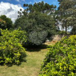 Sobrado à venda com 3 quartos, sendo 2 suítes, em Vila Mazzei, Itapetininga, SP