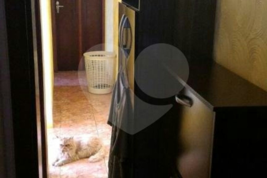 Sobrado à venda com 4 quartos em Pirituba, São Paulo, SP