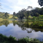 Terreno à venda em Vila Darcy Penteado (mailasqui), São Roque, SP