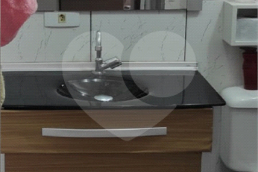 Apartamento à venda com 2 quartos no Brasilândia, São Paulo, SP