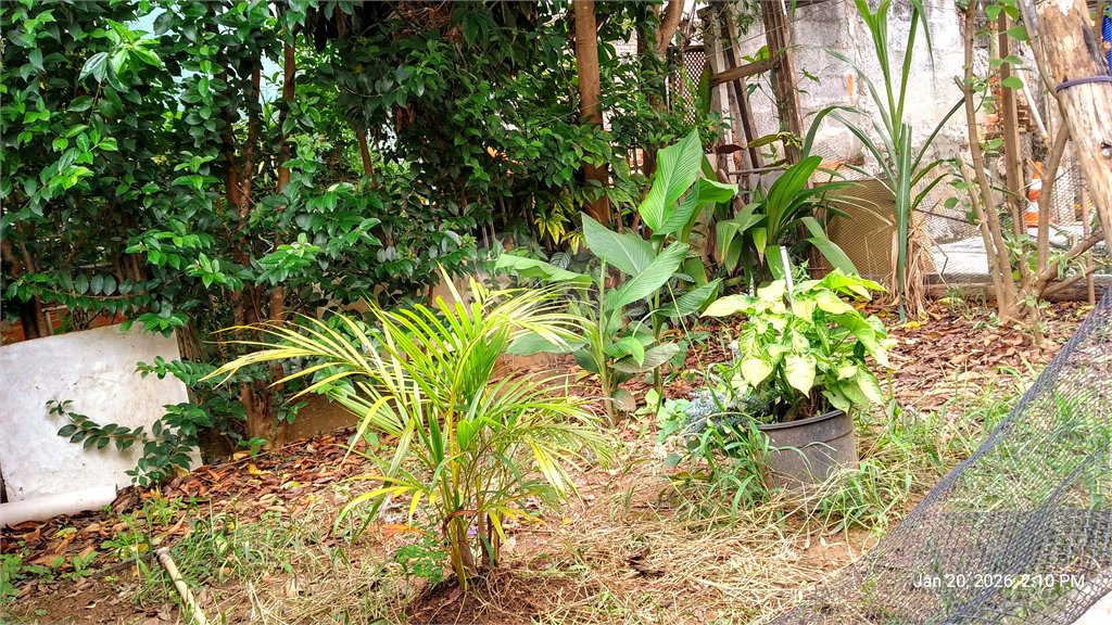 Terreno à venda em Casa Verde, São Paulo, SP