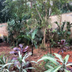 Apartamento à venda com 3 quartos, sendo 1 suíte, em Vila Andrade, São Paulo, SP