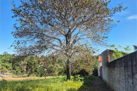 Terreno à venda em Chácaras São Bento, Valinhos, SP