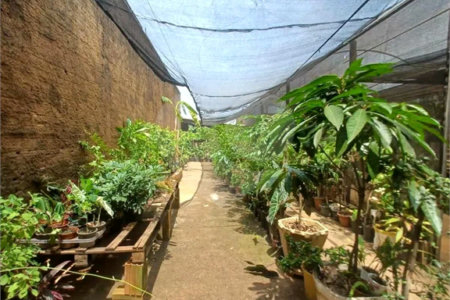 Sobrado à venda com 1 suíte no Centro, Américo Brasiliense, SP