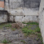 Casa à venda com 4 quartos em Vila Mogilar, Mogi das Cruzes, SP