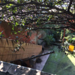 Sobrado à venda com 3 quartos em Mandaqui, São Paulo, SP
