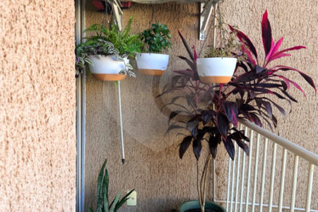 Apartamento à venda com 2 quartos em Condomínio Parque dos Cedros, Ribeirão Preto, SP