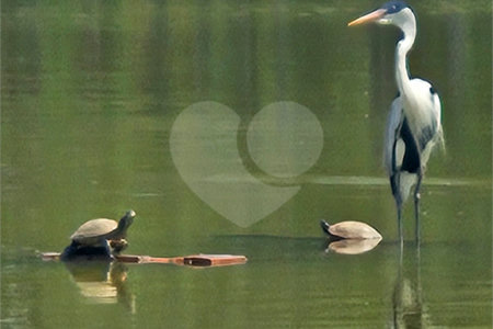 Casa à venda com 4 suítes no condomínio Vivendas do Lago, Sorocaba - SP