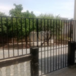 Casa à venda com 3 quartos, sendo 1 suíte, no condomínio Acmti - Colinas do Mosteiro, Terras de Itaici e Recanto dos Pássaros, Indaiatuba - SP