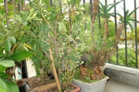 Apartamento à venda com 3 quartos, sendo 1 suíte, em Vila Mariana, São Paulo, SP