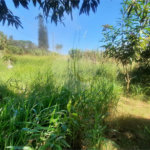 Terreno à venda em Nova Cristalina, Itupeva, SP