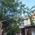 Casa à venda com 3 quartos, sendo 1 suíte, no condomínio São Domingos, Valinhos - SP