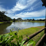 Casa à venda com 3 quartos, sendo 1 suíte, no condomínio Lago dos Ipês, Itapetininga - SP